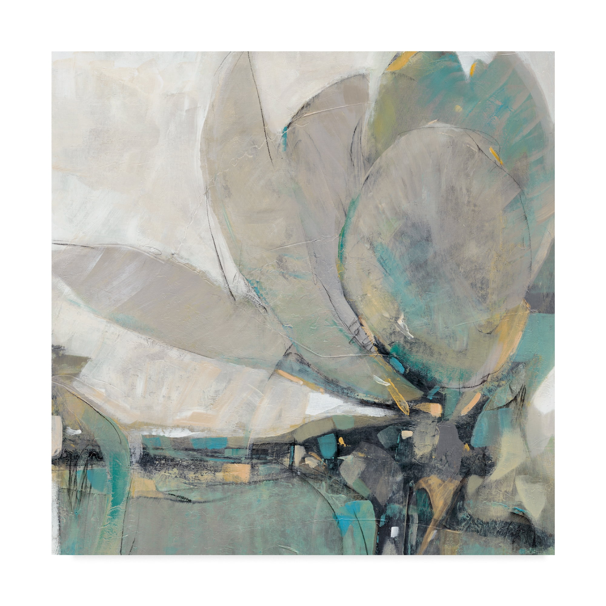 Trademark Fine Art 'Revel II' Canvas Art by Tim OToole