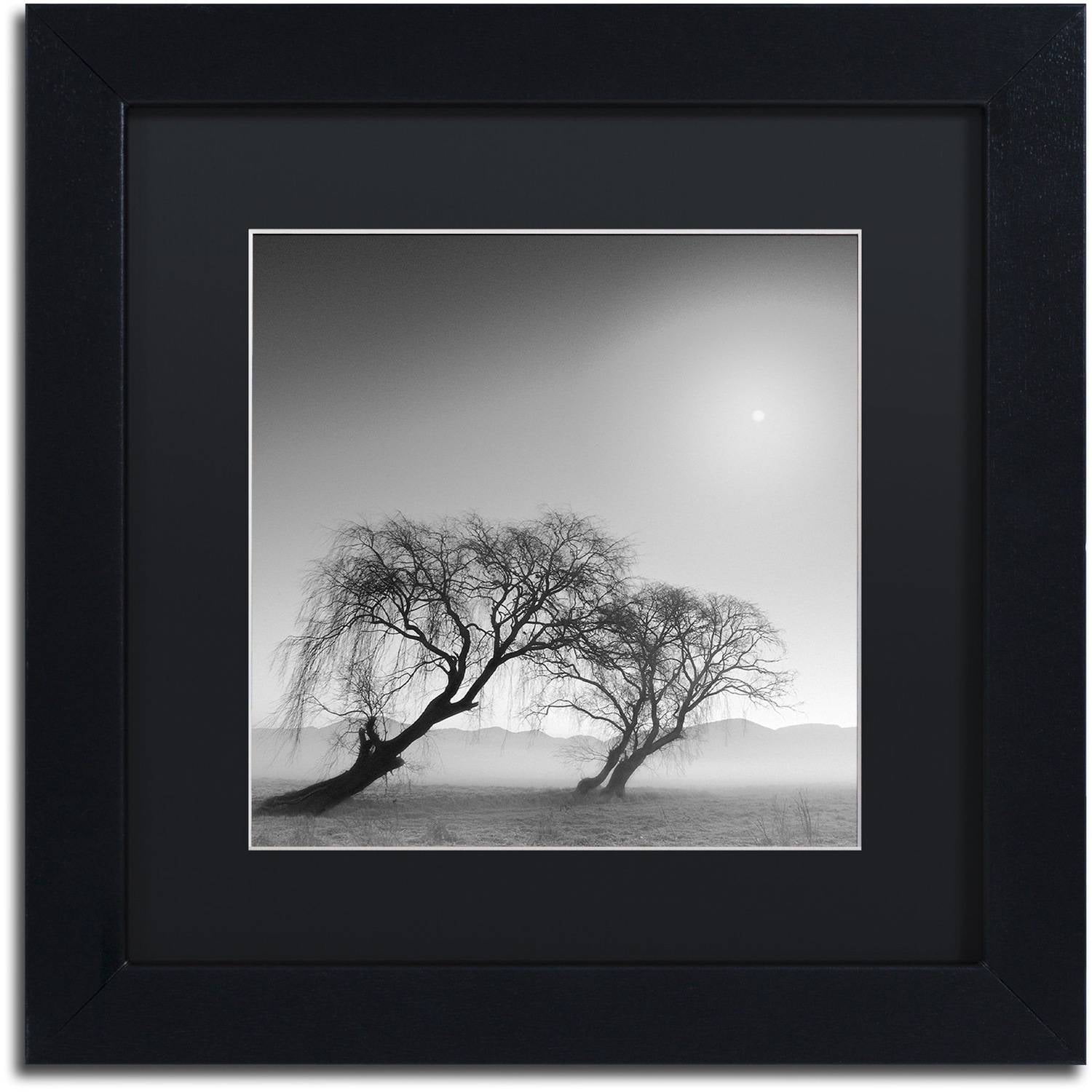 Trademark Fine Art "Reverencia" Canvas Art by Moises Levy Black Matte, Black Frame