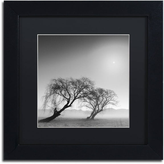 Trademark Fine Art "Reverencia" Canvas Art by Moises Levy Black Matte, Black Frame