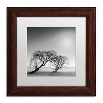 Trademark Fine Art "Reverencia" Canvas Art by Moises Levy White Matte, Wood Frame