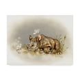 thumbnail image 1 of Trademark Fine Art 'Rhino Baby' Canvas Art by Peggy Harris, 1 of 3