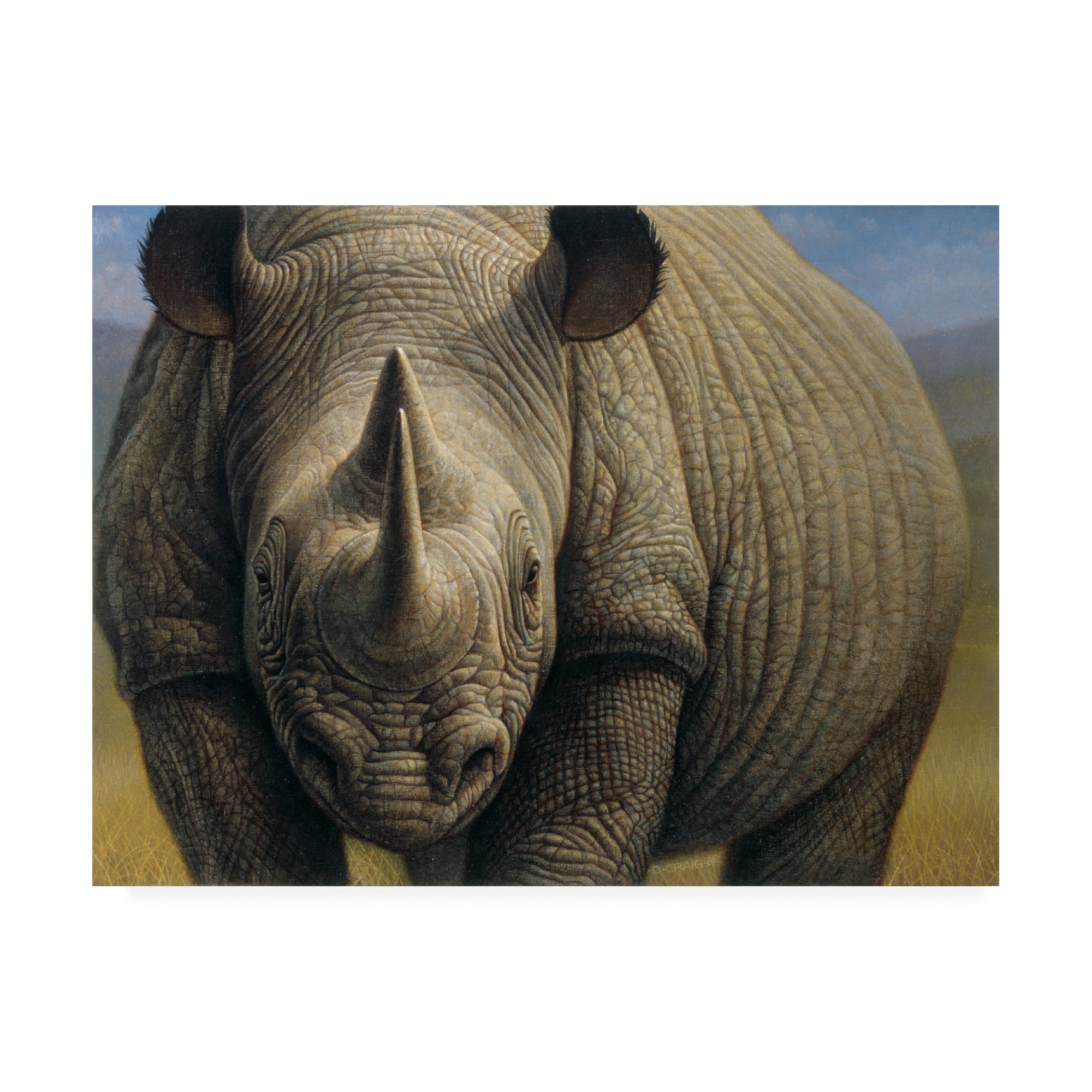 Trademark Fine Art 'Rhinos Portrait' Canvas Art by Dan Craig