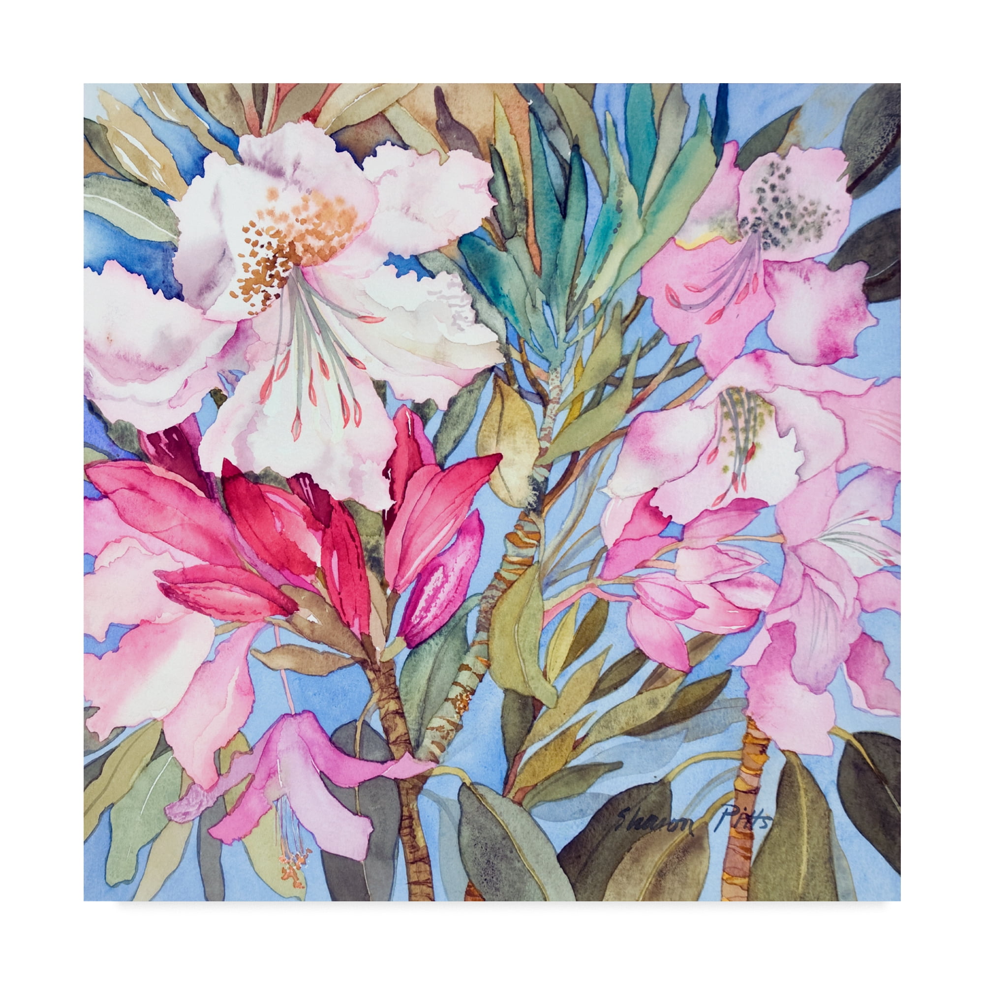 Trademark Fine Art 'Rhododendron Flowers' Canvas Art by Sharon Pitts