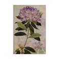thumbnail image 1 of Trademark Fine Art 'Rhododendron II' Canvas Art by John Butler, 1 of 4