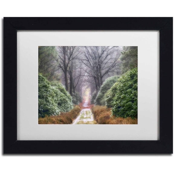Trademark Fine Art 'Rhododendron Lane' Canvas Art by Cora Niele, White Matte, Black Frame