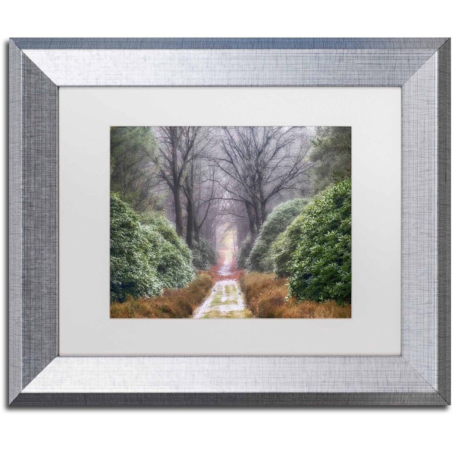 Trademark Fine Art 'Rhododendron Lane' Canvas Art by Cora Niele, White Matte, Silver Frame