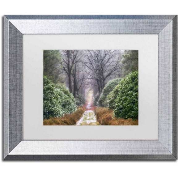 Trademark Fine Art 'Rhododendron Lane' Canvas Art by Cora Niele, White Matte, Silver Frame