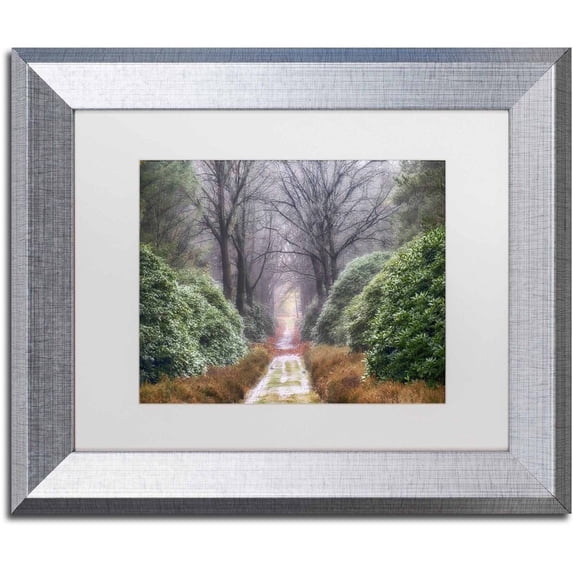 Trademark Fine Art 'Rhododendron Lane' Canvas Art by Cora Niele, White Matte, Silver Frame