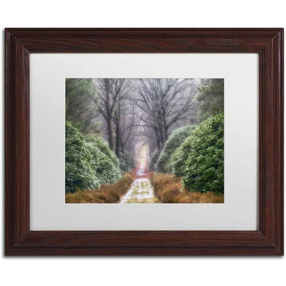 Trademark Fine Art 'Rhododendron Lane' Canvas Art by Cora Niele, White Matte, Wood Frame