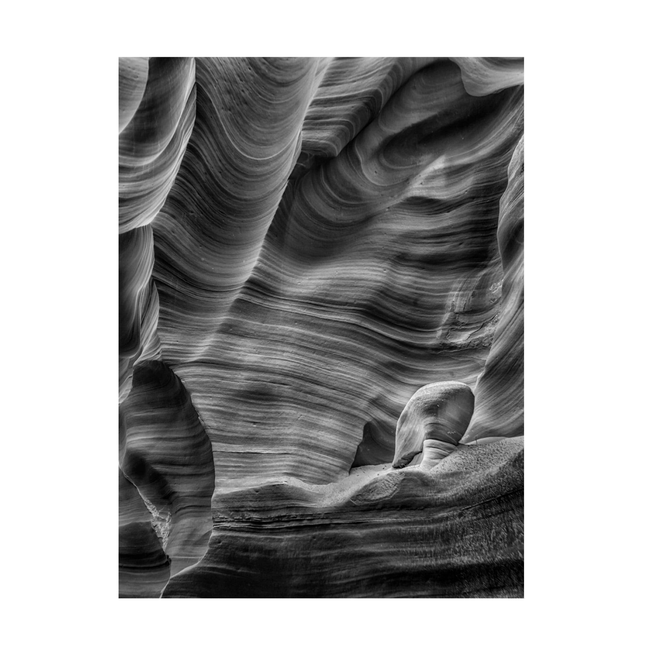 Trademark Fine Art Richard Li  Meditation Canvas Wall Art