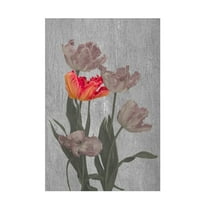 Trademark Fine Art Richard Urbanski Aflame Canvas Wall Art