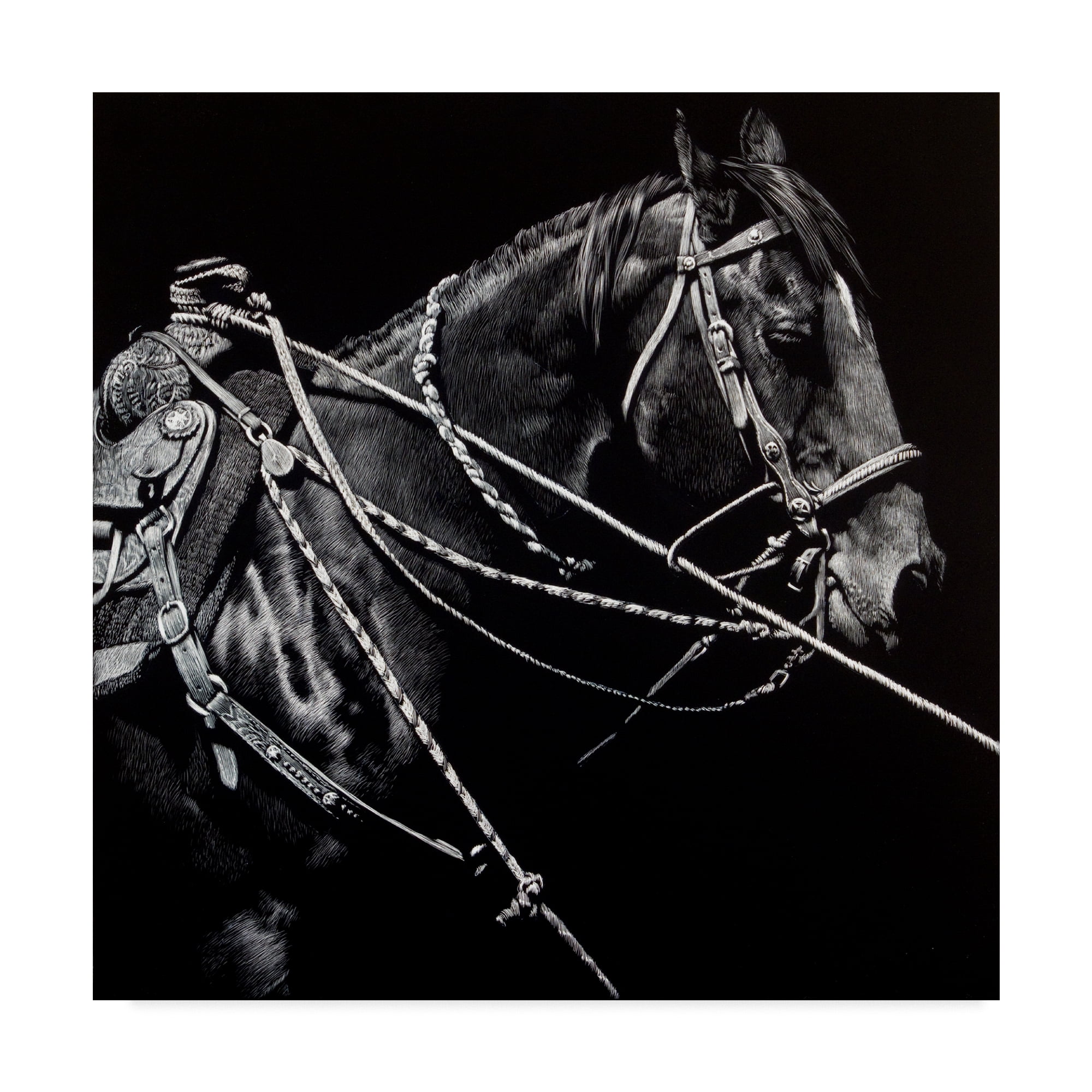 Trademark Fine Art 'Rigging 1' Canvas Art by Julie T. Chapman