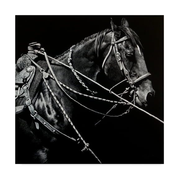 Trademark Fine Art 'Rigging 1' Canvas Art by Julie T. Chapman