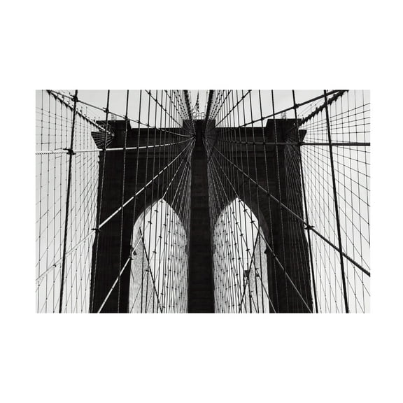 Trademark Fine Art Rikard Martin Brooklyn Bridge Canvas Wall Art