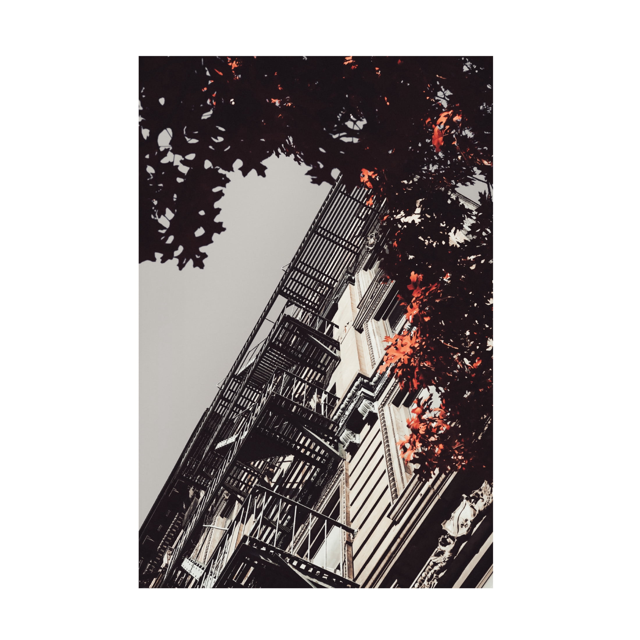 Trademark Fine Art Rikard Martin New York City Autumn Canvas Wall Art