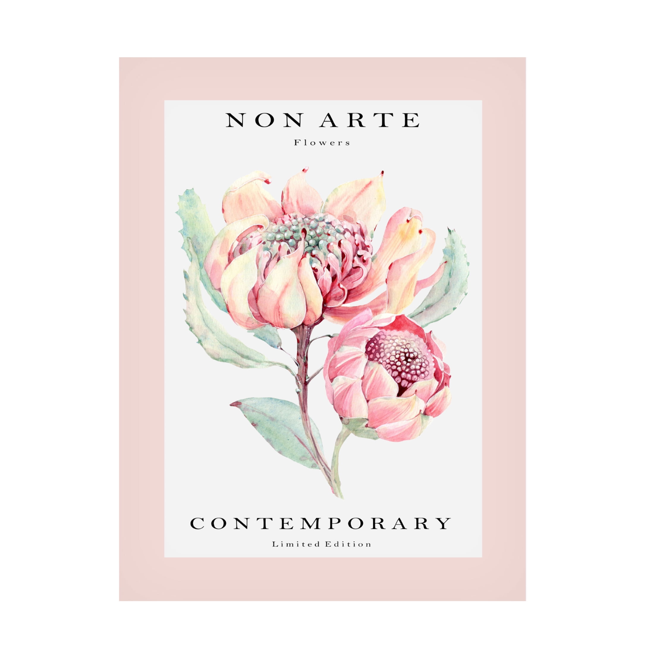 Trademark Fine Art Rikke Londager Boisen Non Arte rose flower Canvas Wall Art
