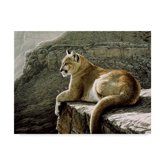 Trademark Fine Art 'Rimrock Cougar' Canvas Art by Ron Parker