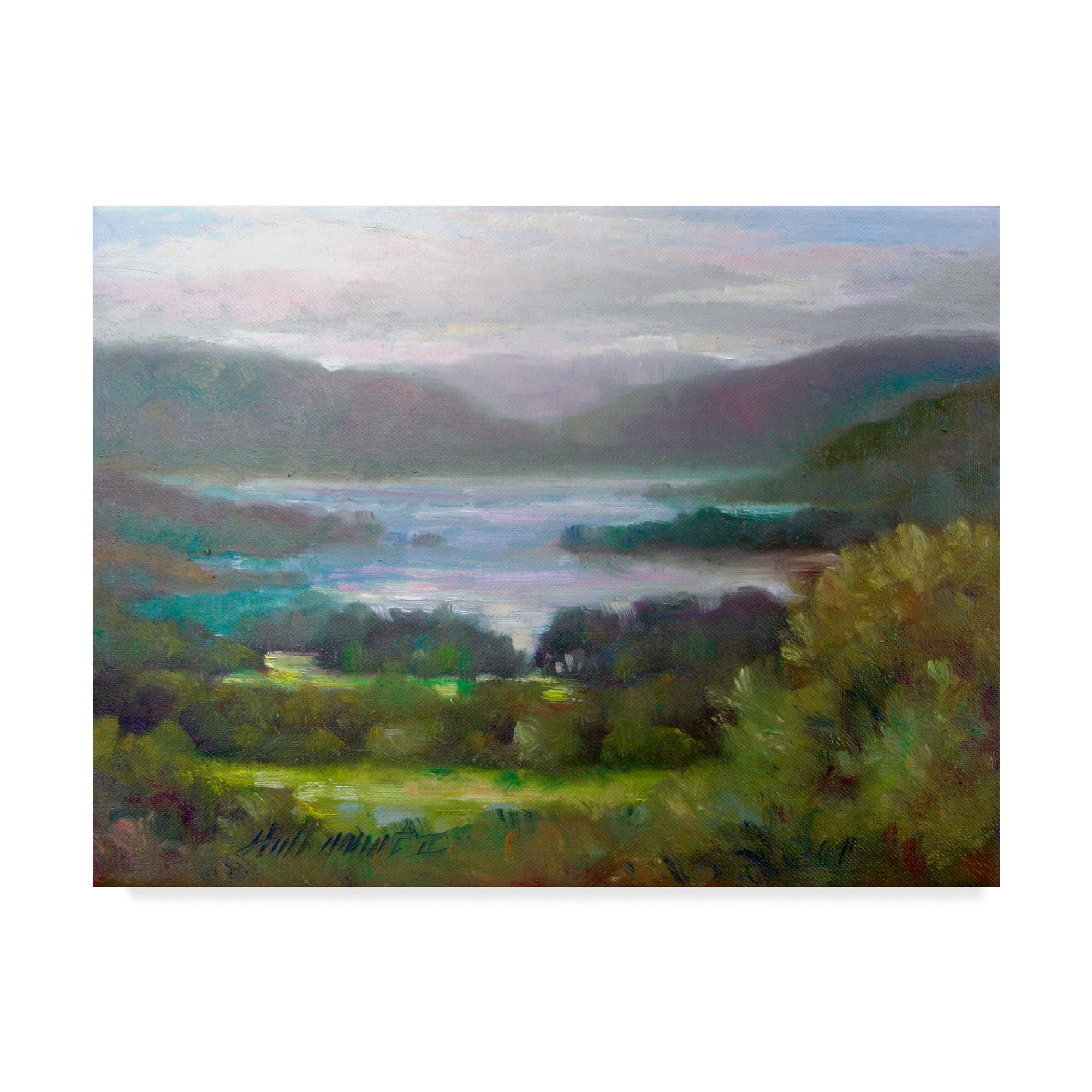 Trademark Fine Art 'Ring Of Kerry, Ireland 11' Canvas Art by Hall Groat Ii