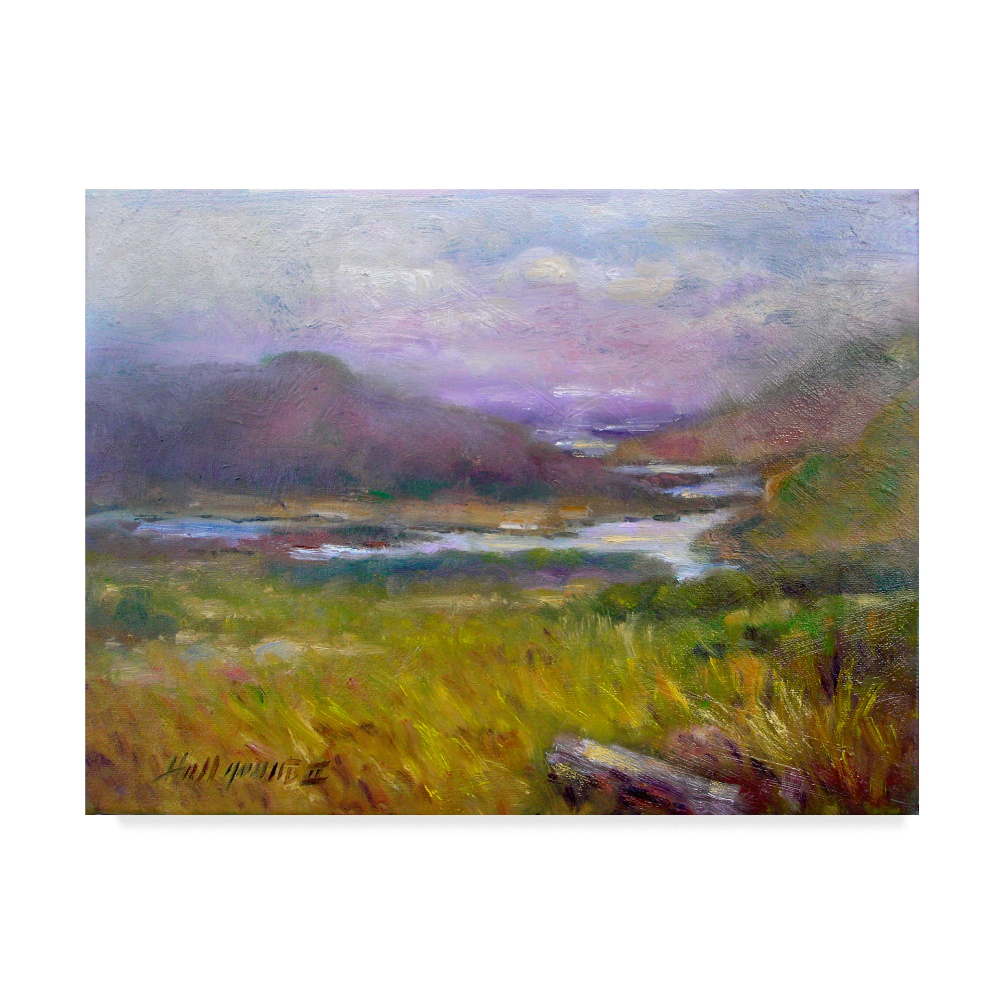 Trademark Fine Art 'Ring Of Kerry, Ireland 14' Canvas Art by Hall Groat Ii