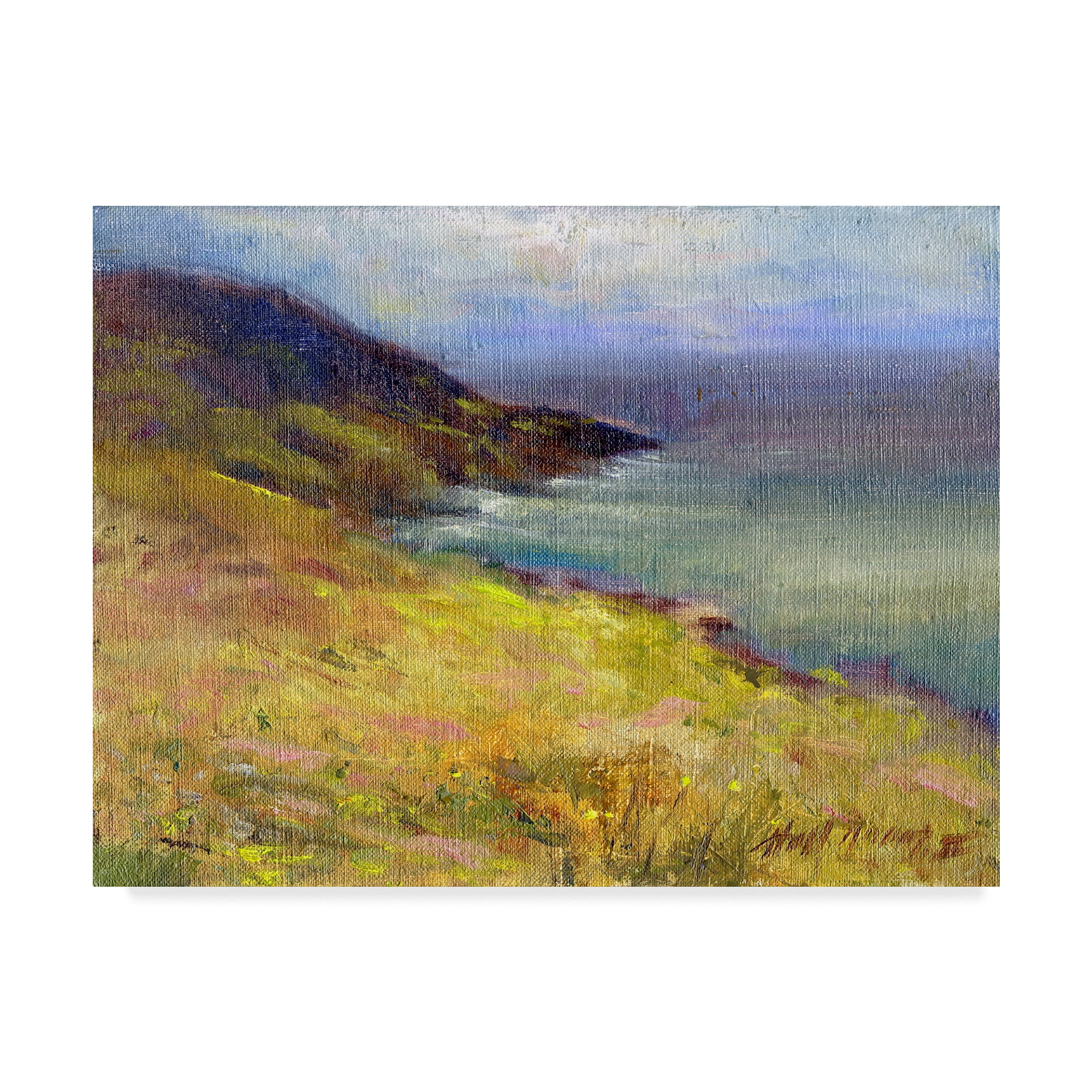 Trademark Fine Art 'Ring Of Kerry, Ireland 4' Canvas Art by Hall Groat Ii