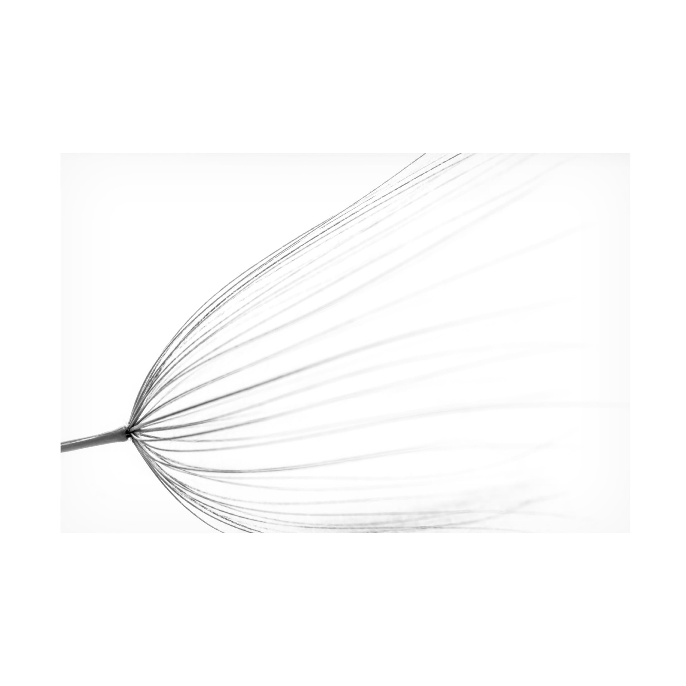 Trademark Fine Art Rino Terravecchia The Big Minimal Canvas Wall Art