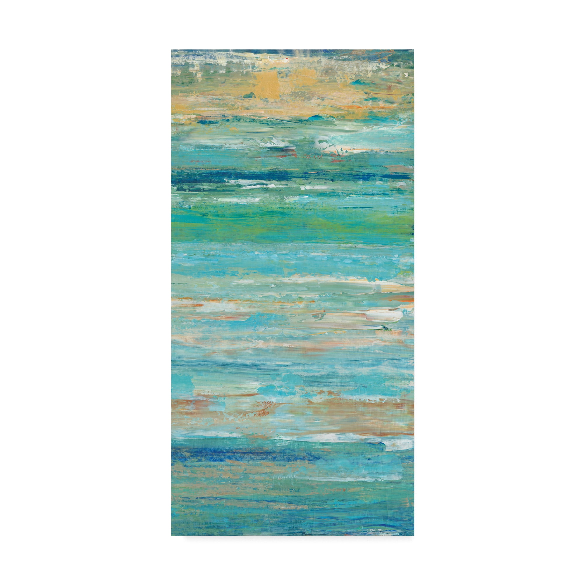 Trademark Fine Art 'Riptide II' Canvas Art by Tim OToole