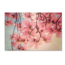 Trademark Fine Art 'Rise and Shine' Canvas Art by Philippe Sainte-Laudy