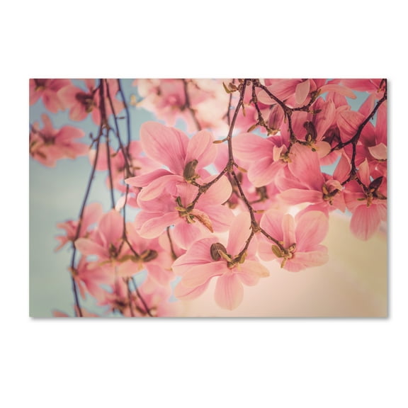 Trademark Fine Art 'Rise and Shine' Canvas Art by Philippe Sainte-Laudy