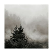 Trademark Fine Art 'Rising Mist, Smoky Mountains' Canvas Art by Nicholas Bel