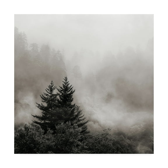 Trademark Fine Art 'Rising Mist, Smoky Mountains' Canvas Art by Nicholas Bel