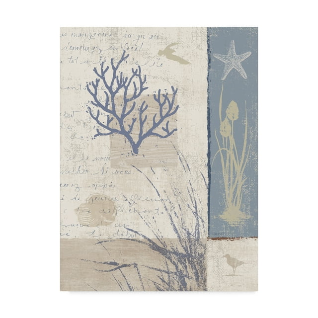 Trademark Fine Art 'Rivage II' Canvas Art by Lisa Audit