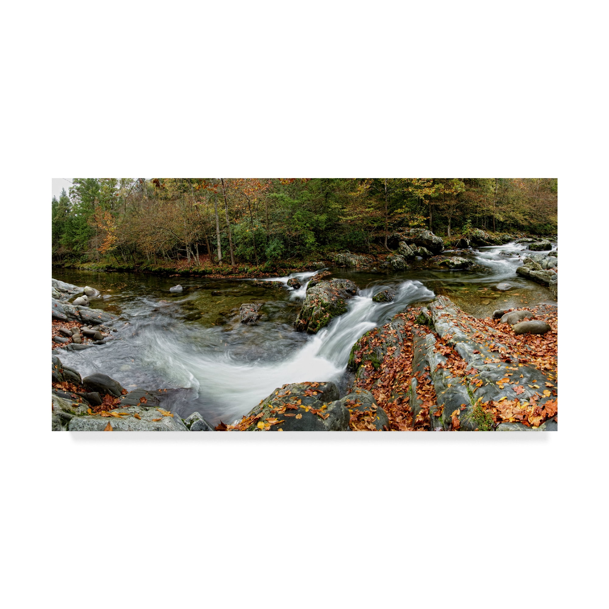 Trademark Fine Art 'River Panorama' Canvas Art by Danny Head