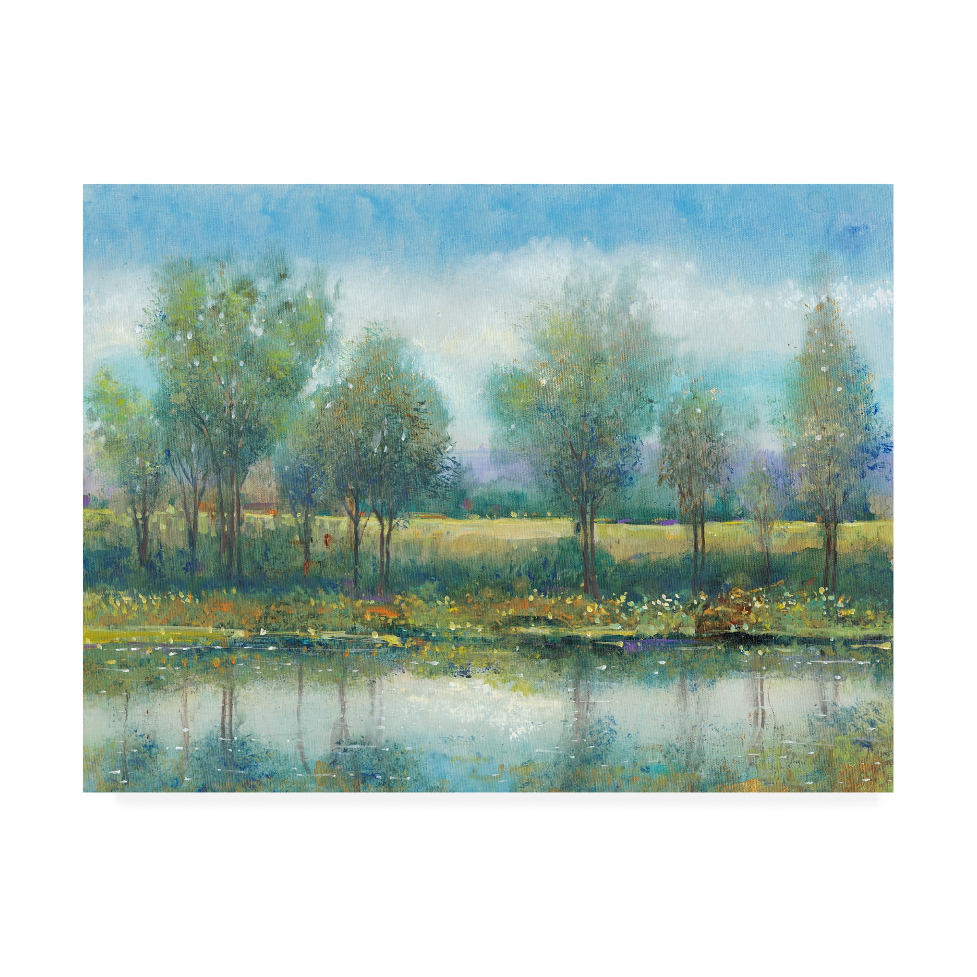 Trademark Fine Art 'River Reflection II Cloudy Blue Sky' Canvas Art by Tim OToole