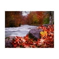 thumbnail image 1 of Trademark Fine Art 'River Rush' Canvas Art by Dan Ballard, 1 of 3