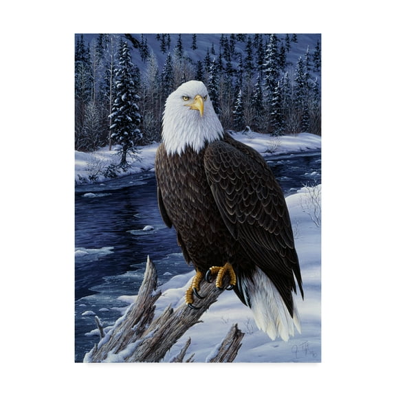 Trademark Fine Art 'River Watch' Canvas Art by Jeff Tift