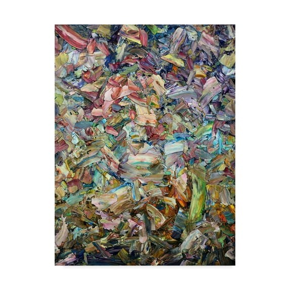 Trademark Fine Art 'Roadside Fragmentation' Canvas Art by James W. Johnson