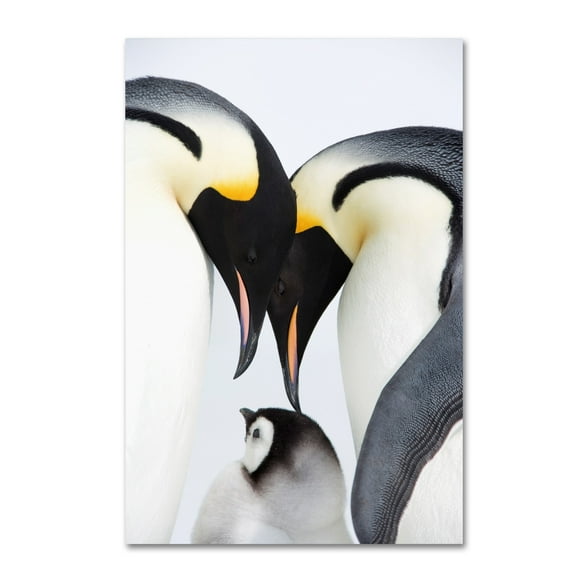 Trademark Fine Art Robert Harding Picture Library Baby Penguin Canvas Wall Art - 16x24