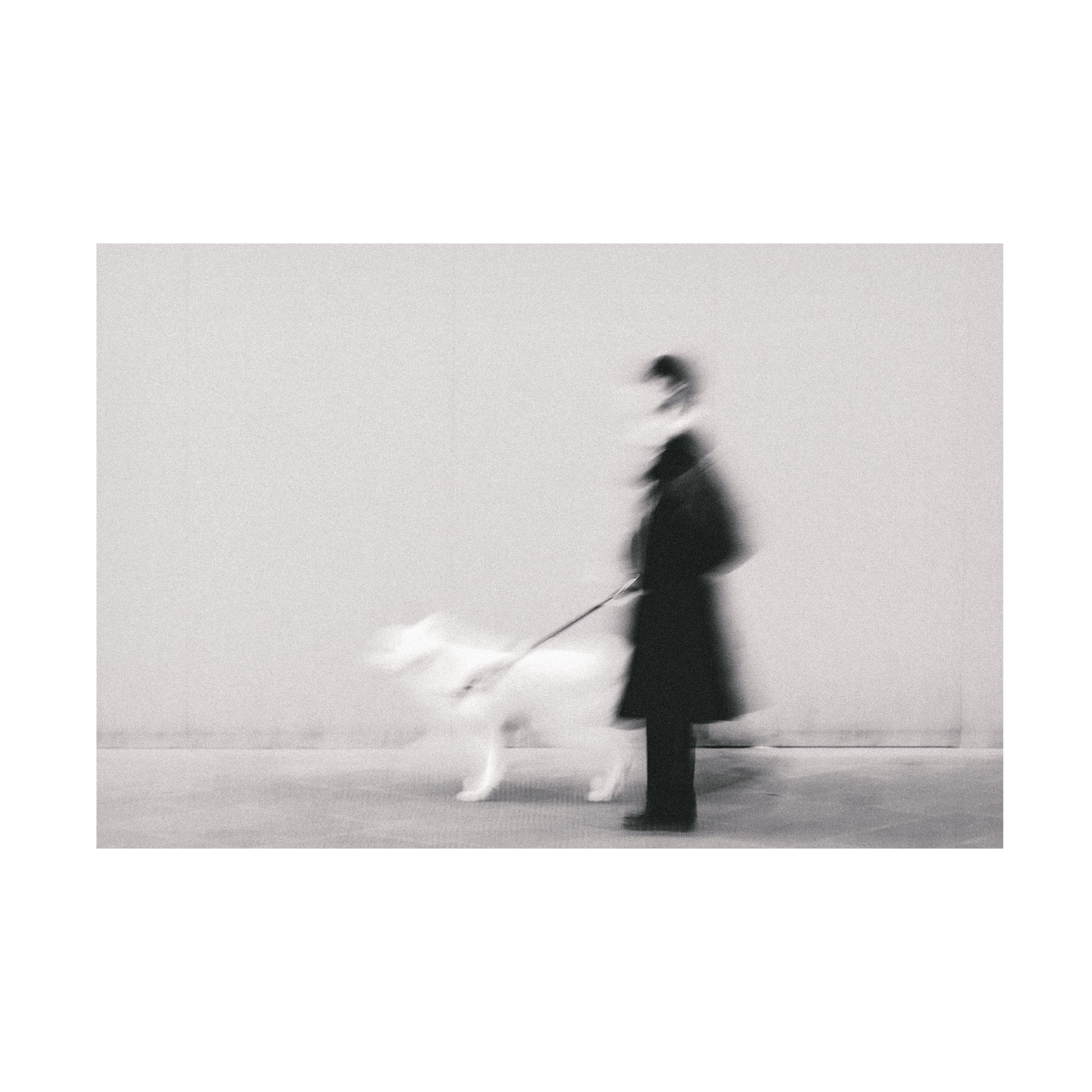 Trademark Fine Art Roberto Ruoli Black In Too White Canvas Wall Art