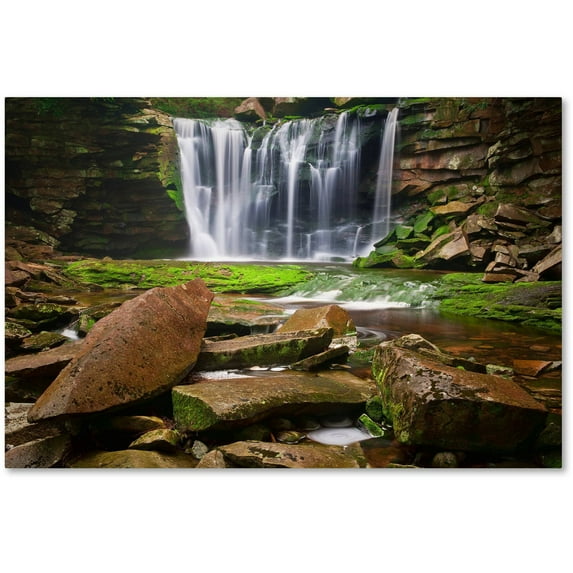 Trademark Fine Art "Rock Pointers" Canvas Art by Michael Blanchette Photography