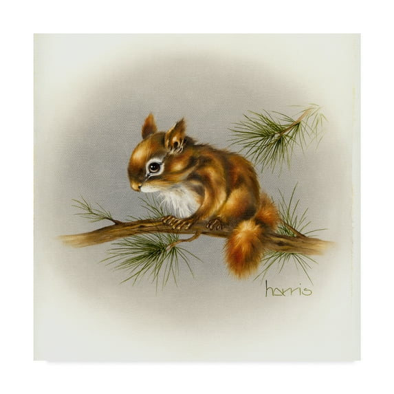 Trademark Fine Art 'Rockabye Baby Squirrel' Canvas Art by Peggy Harris