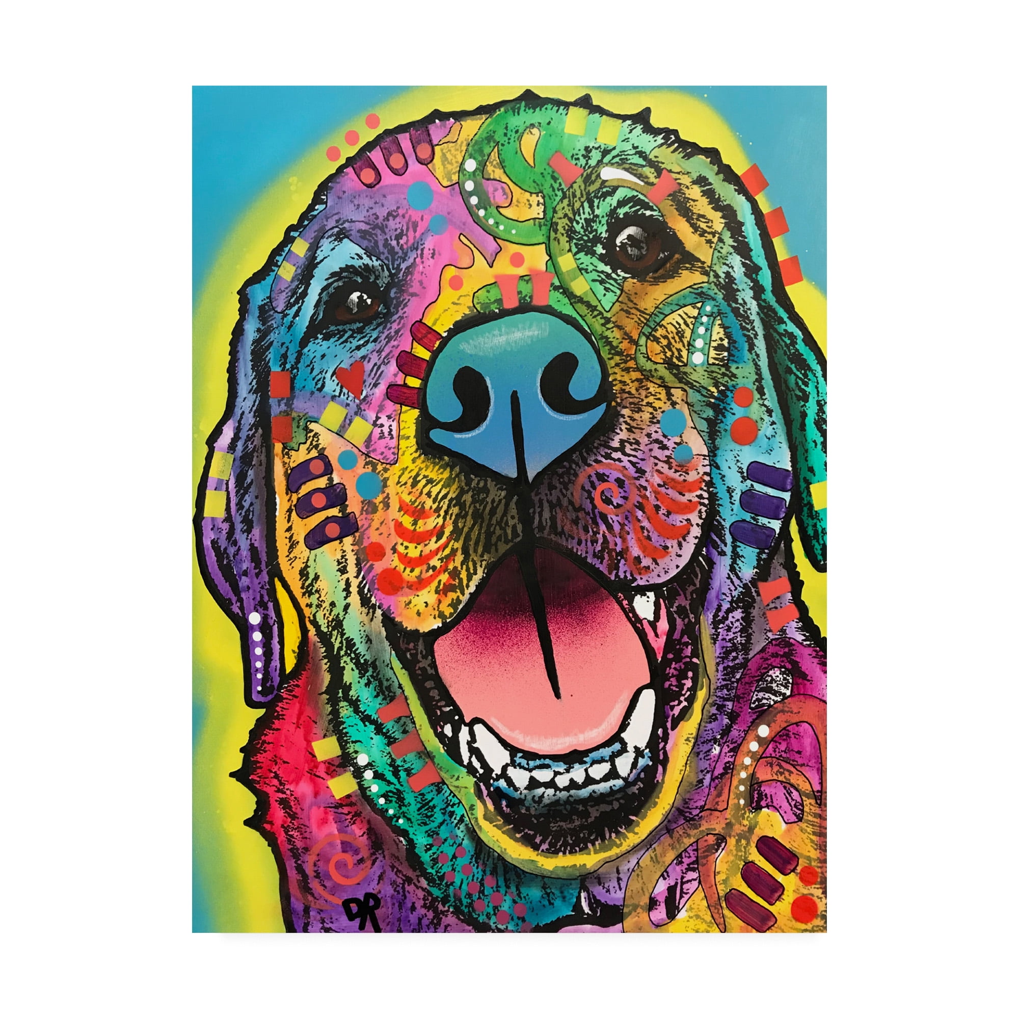 Trademark Fine Art 'Rocky Abstract Color' Canvas Art by Dean Russo