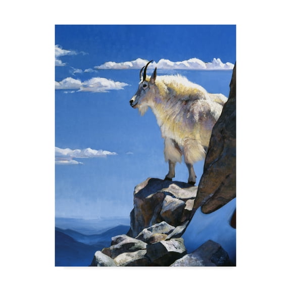 Trademark Fine Art 'Rocky Mountain High' Canvas Art by Julie T. Chapman
