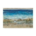 thumbnail image 1 of Trademark Fine Art 'Rocky Shoreline I' Canvas Art by Tim OToole, 1 of 4