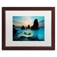 thumbnail image 1 of Trademark Fine Art "Rodeo Beach I" Canvas Art by Moises Levy White Matte, Wood Frame, 1 of 5
