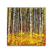 Trademark Fine Art Roderick Stevens 'Fall Aspens' 14 x 14 (RS997-C1414GG)
