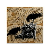 Trademark Fine Art Roderick Stevens 'Quoth the Raven 1' 14 x 14 (RS1010-C1414GG)