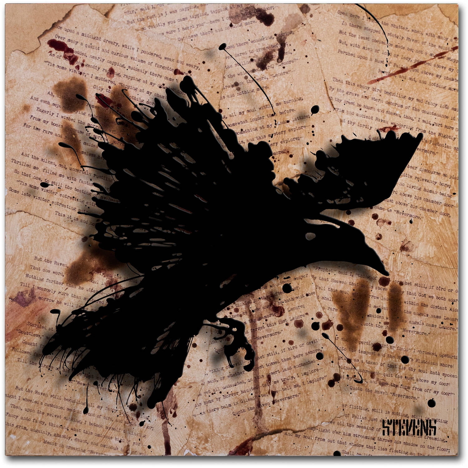 Trademark Fine Art Roderick Stevens 'The Raven 1' 24 x 24 (RS1011-C2424GG)