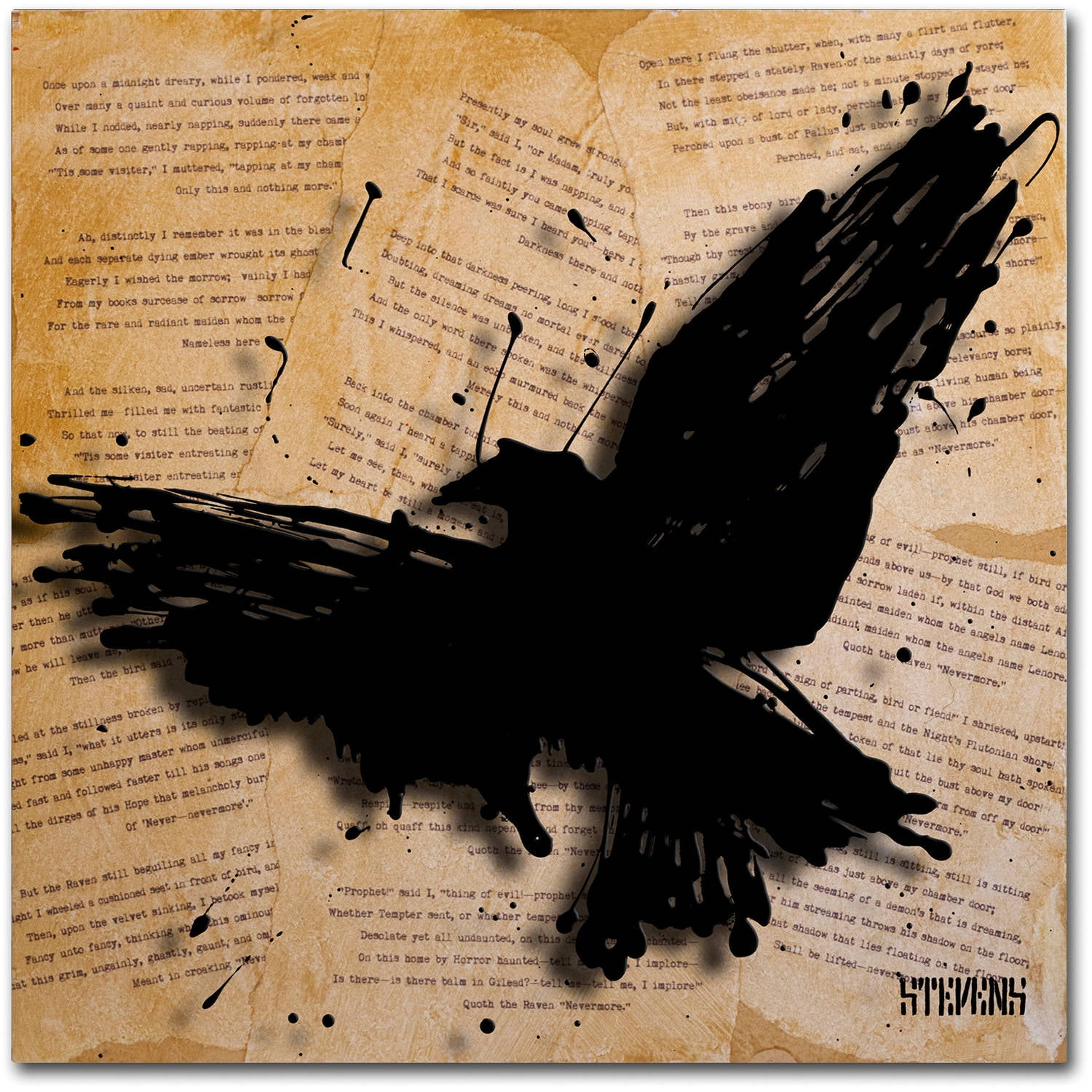 Trademark Fine Art Roderick Stevens 'The Raven 2' 18 x 18 (RS1012-C1818GG)