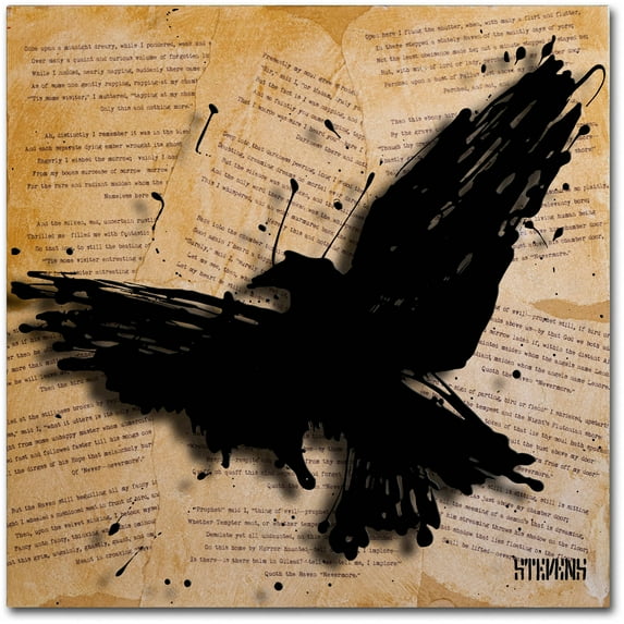 Trademark Fine Art Roderick Stevens 'The Raven 2' 18 x 18 (RS1012-C1818GG)