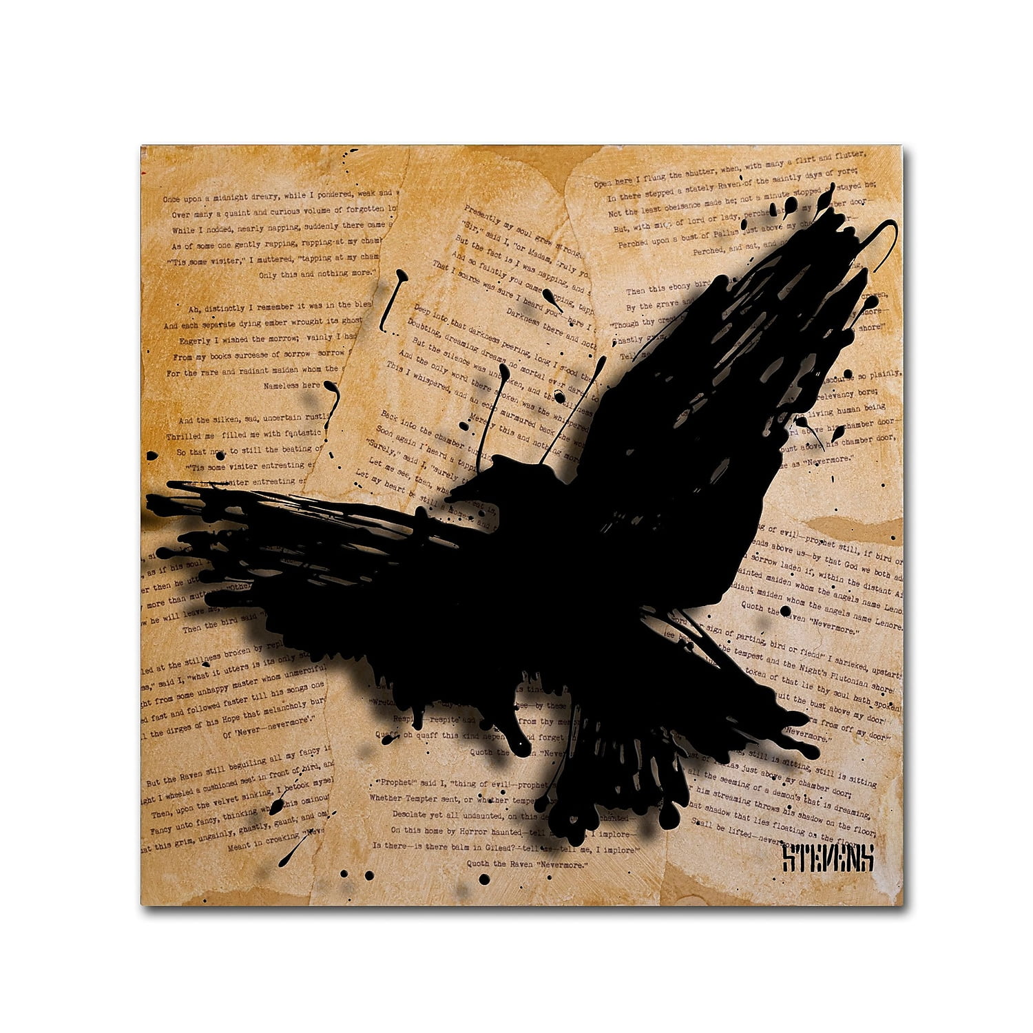 Trademark Fine Art Roderick Stevens 'The Raven 2' 24 x 24 (RS1012-C2424GG)